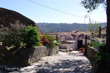 Excursion along the Rio Douro, Portugal 2009, DSC01481b_B740